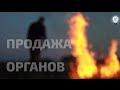 Торговля органами в Украине. Фильм-расследование Андрея Павловского
