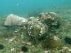 Владивостокские водолазы решили поднять с морского дна самолет, пропавший в годы ВОВ