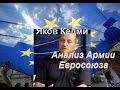Яков Кедми Анализ Армии Евросоюза