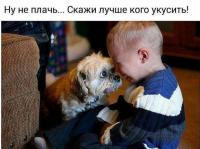 Никогда не изменит и не предаст.