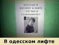 Галстукоед набирает популярность на новом месте.