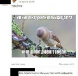 Новый вид дятла