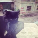 Всё будет хорошо