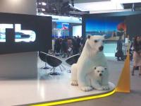 Стенд «Роснефти» на питерском экономическом форуме удивил собравшихся