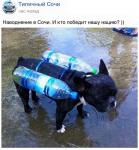 Наводнение с Сочи