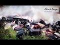 Видео ополчения с места падения «Боинга» — сразу после катострофы
