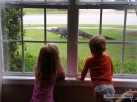 Где-то во Флориде…