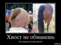 Хвост не обманешь