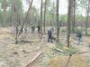 На Украине вспыхнули янтарные бои
