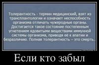 Немного про толерантность
