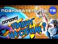 Почему пишут на стенах? (Михаил Величко)