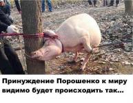 Принуждение Порошенко к миру
