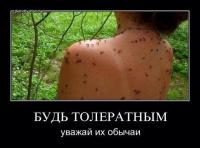 Будь толерантным