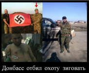 Подскажите категорию. Это медицина, или военные конфликты?