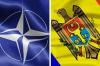 Представительство НАТО в Молдавии будет открыто осенью