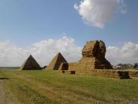 Тракторист вернулся из Египта