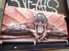 [конечно вася] Организатором уничтожения Мефистофеля на здании в Петербурге назвали «бездомного Васю»