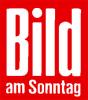 Bild am Sonntag: США поддержат Россию в борьбе с «Исламским государством» в Сирии