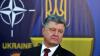 Порошенко: добровольцев в Донбасс не отправили из-за права вето России