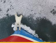 Эй Вы там наверху! Сгущёнка где?