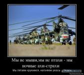 Мы не мыши, мы не птахи…