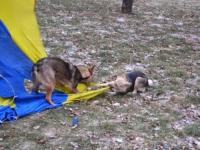 Создание мифа «Иловайский флаг»