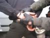В Крыму пограничников задержали за употребление наркотиков