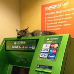 Сбербанк по-домашнему