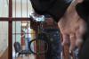Арестован обвиняемый в миллиардных махинациях банкир