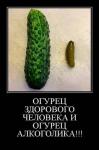 Огурец здорового человека!