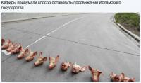 Как остановить Исламское государство