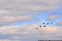 Авиашоу в Севастополе. Русские витязи и дикие лебеди 05.12.2015