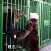 В Уссурийске открывается новый зоопарк