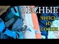 Как сделать чипсы из сосны — Простой и вкусный рецепт