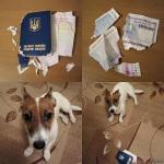 Собака-москаль…