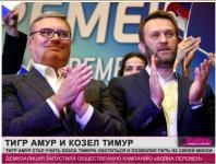 [Дождь] Тигр Амур и козел Тимур…