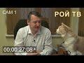 Кот помешал интервью Игоря Стрелкова