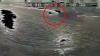 В Воркуте оправдан водитель BMW X5, давивший колесами сбитую им женщину