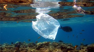 Пластиковый мусор превысит количество рыбы в море к 2050 году