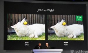 Используем WebP сегодня