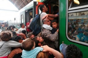 Кровавые плоды толерантности: Шведская полиция покрывает мигрантов-убийц