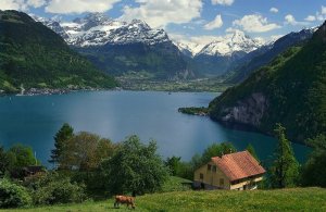 Швейцария собралась платить всем гражданам по 2500 евро в месяц (Инициатива предполагает, что получать эти деньги будут и работающие, и безработные)