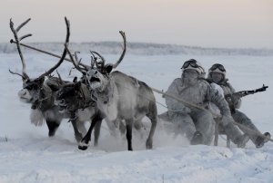 Езда на оленях и собаках: необычные учения арктической бригады