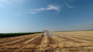 Бизнесмен из ФРГ добился успеха на Кубани, построив завод: Бизнес в России - это выгодно