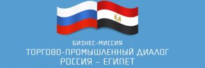 Москва и Каир подписали меморандум о создании в Египте российской промышленной зоны