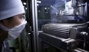 Лекарства для миллионов: почему новые препараты в Египте доступнее, чем в России