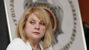 Памфилова заступилась за хулигана, сорвавшего концерт Макаревича