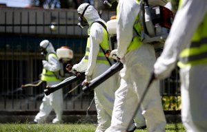 Индийские ученые утверждают, что создали вакцину против вируса Зика