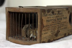 В британском музее сработала 155-летняя мышеловка