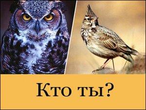 Исследование: найдены гены, заставляющие нас делиться на "жаворонков" и "сов"